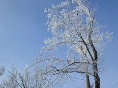 -中旅松花湖滑雪场