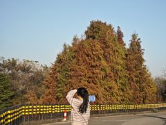 -新地休闲农场
