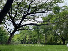 -深圳湾公园(南山区)