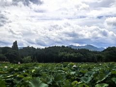 -清漾毛氏文化村