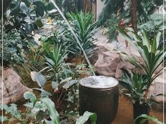 -滕头生态酒店(奉化店)