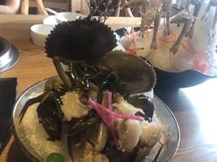 梭子蟹-尚海豆捞(乐虹坊店)