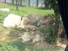 -西安秦岭野生动物园