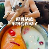 🥥成都泰式火锅的天灵盖！萨瓦迪卡~太好吃啦！