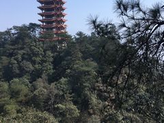 -缙云山景区