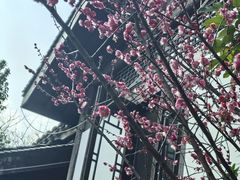 -天目湖山水园