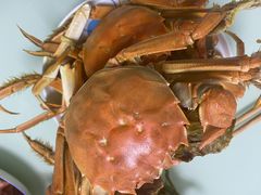 -同庆楼(滨湖万达广场店)