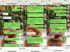 -天鹅到家·保姆月嫂育儿嫂(天河店)