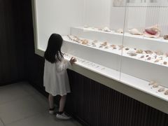 -青岛贝壳博物馆