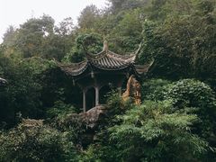 -凤栖山