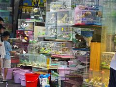 -青石桥花鸟鱼虫市场(叠翠城店)