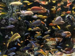 -太平洋海底世界