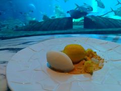 -亚特兰蒂斯•OSSIANO奥西亚诺海底餐厅