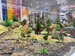 -KKV(重庆光环购物公园店)