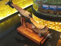 -蒲叙(凯天国际店)