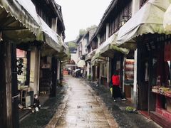-同里国家湿地公园