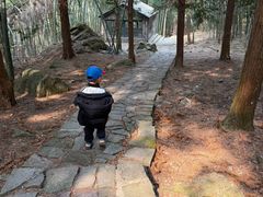 -四明山国家森林公园