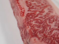 -广州四季酒店·佰鲜汇·现代法餐