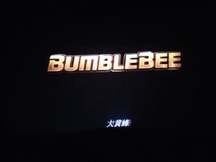 -天幕新彩云国际影城(激光巨幕店)