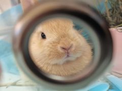 -爱侣宠医·鹦鹉专科·小型哺乳类·异宠专科(灵石路店)