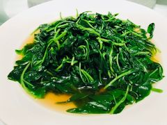 -富淳饭店(陆家嘴保利广场店)