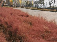 -中国天府农业博览园