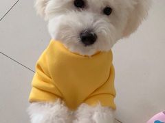 -宠物星动物医院·眼科·异宠·猫科(江南大道总院)