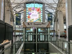 -广州白云国际机场-T1航站楼