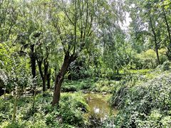 -苏州河梦清园环保主题公园