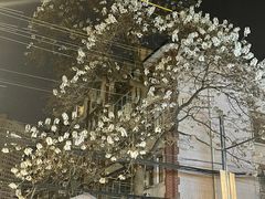 -Dal Cuore 达可芮冰淇淋(陕西北路店)