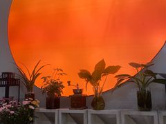 -seeu coffee(江滩店)