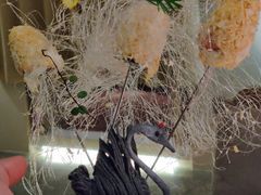 -融和里(华润·二十四城店)