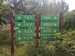 -南戴河国际娱乐中心