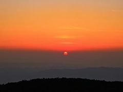 -武陵山森林公园