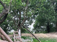 -秀丽东方
