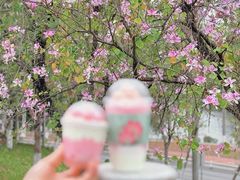 景观位-华农酸奶文化馆