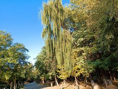 -长白岛森林公园