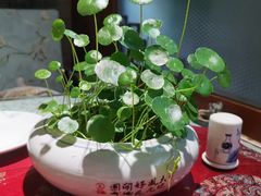 -清真天水老巷道餐厅