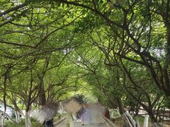 -烟台山景区
