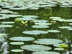 -艾溪湖湿地公园