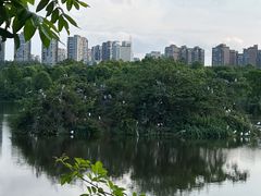 -观山湖公园