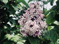 -白草畔自然风景区