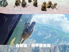 -白帝城·瞿塘峡景区