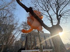 -西安电影制片厂