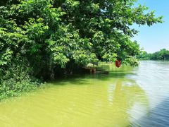 -合肥滨湖国家森林公园