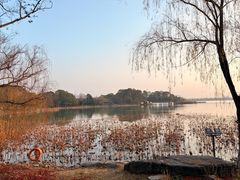 -金鸡湖桃花岛