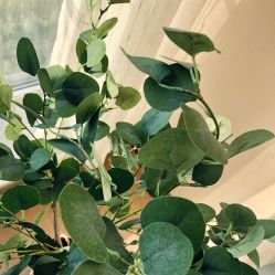 -Mo·Mo Nail 美甲美睫