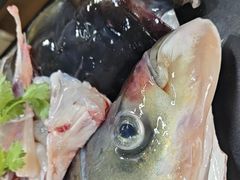 -秦巴石锅鱼(文化南路店)