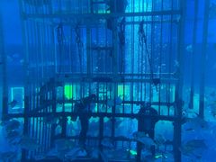 -迪拜水族馆及水下动物园