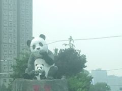 -凯德MALL(望京店)